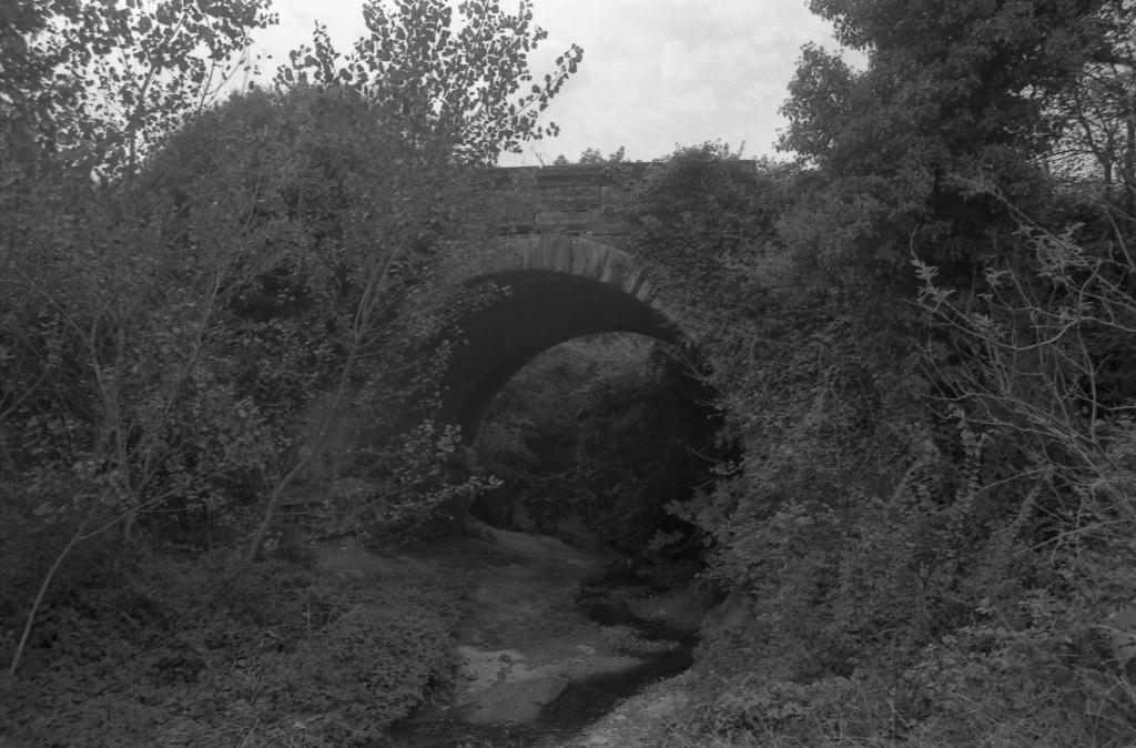 Pont