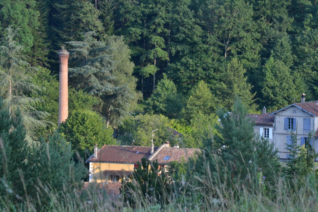 fabrique de peigne en corne Azéma-Bigou