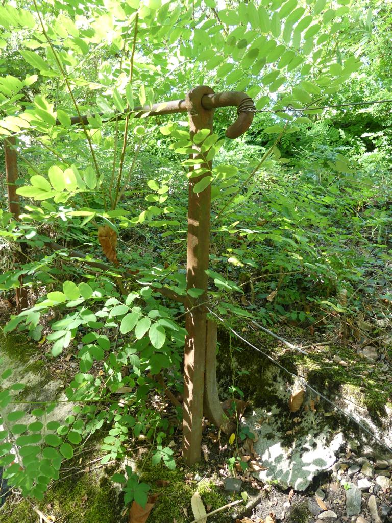 ponceau