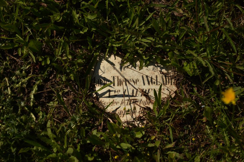cimetière de Saint-Mayme