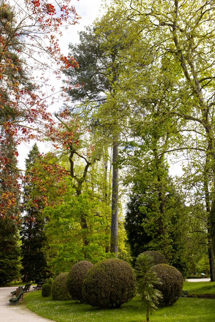 ancien jardin botanique dit Jardin Massey actuellement jardin public