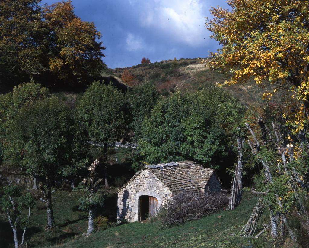 moulin à farine