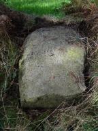 statue-menhir de Combe Basse