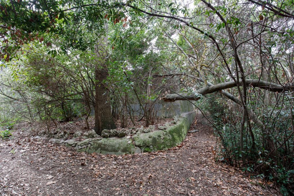 parc du château de Veye