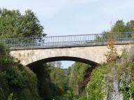 ponceau