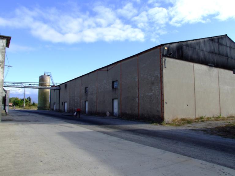 coopérative vinicole