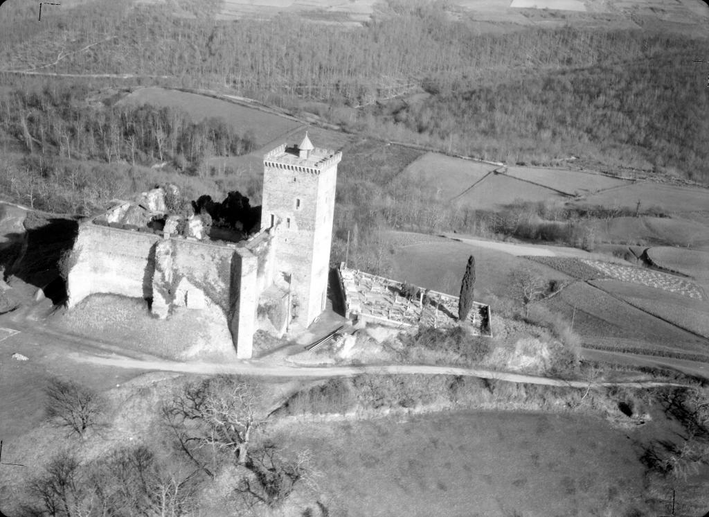 Château et donjon de Gaston Phoebus