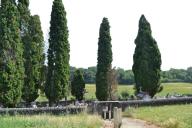 cimetière