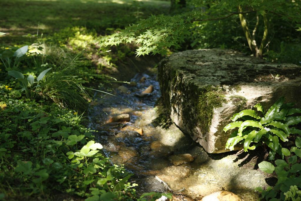 jardin d'agrément dit jardin Bailleul