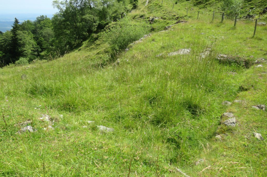 carrière et mine d'extraction de talc du Fangas et de la Porteille, dite mine de Montferrier