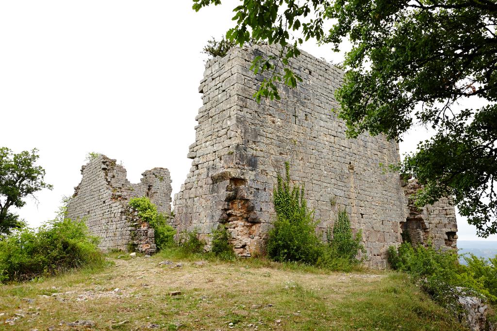 château fort du Bastit (dit aussi de Taillefer)