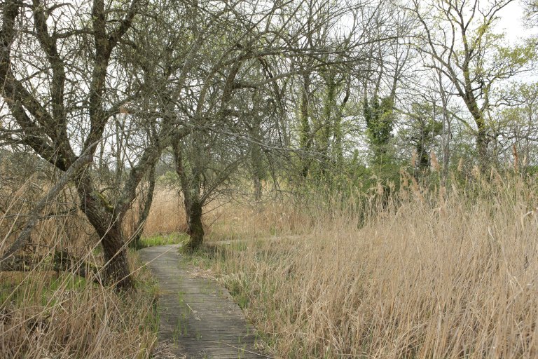 jardin botanique et zoologique, paysage naturel dit Marais de Bonnefont