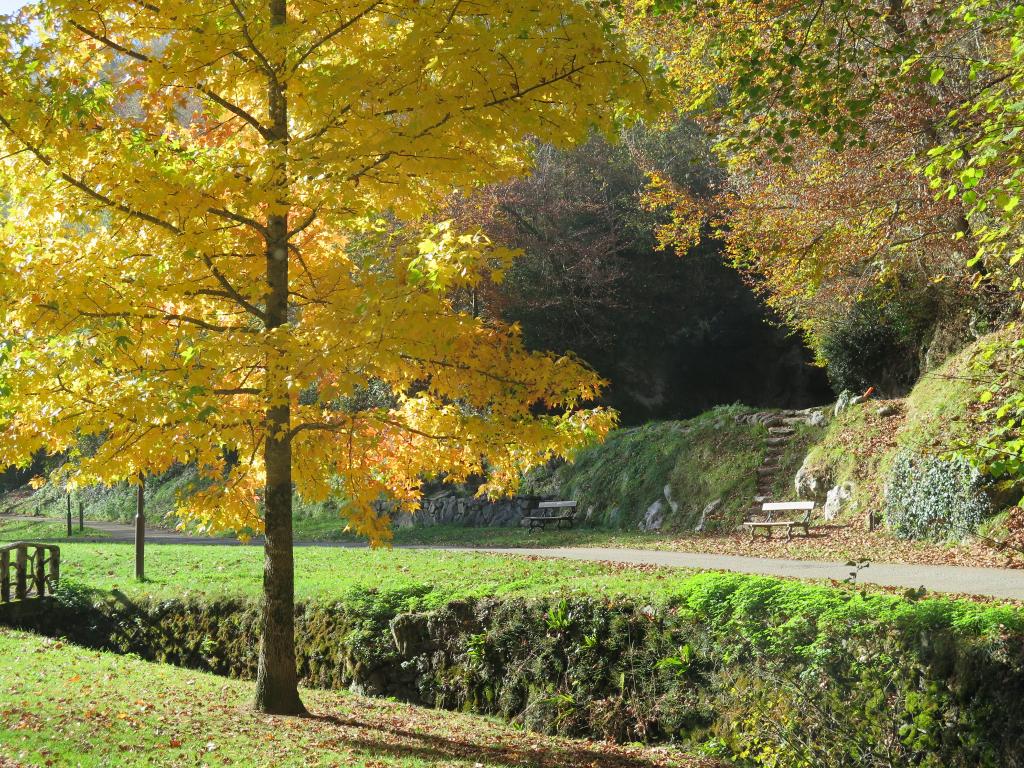 jardin public dit Vallon de Salut