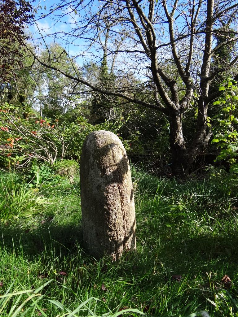 statue-menhir des Fontanelles