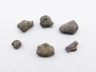 Paléontologie - Favosites placenta (détermination d'origine)