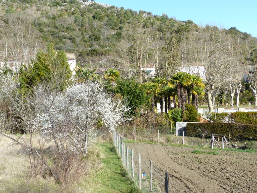 parc thermal de Ginoles-les-Bains