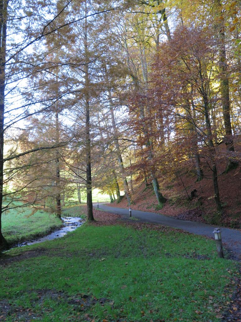 jardin public dit Vallon de Salut