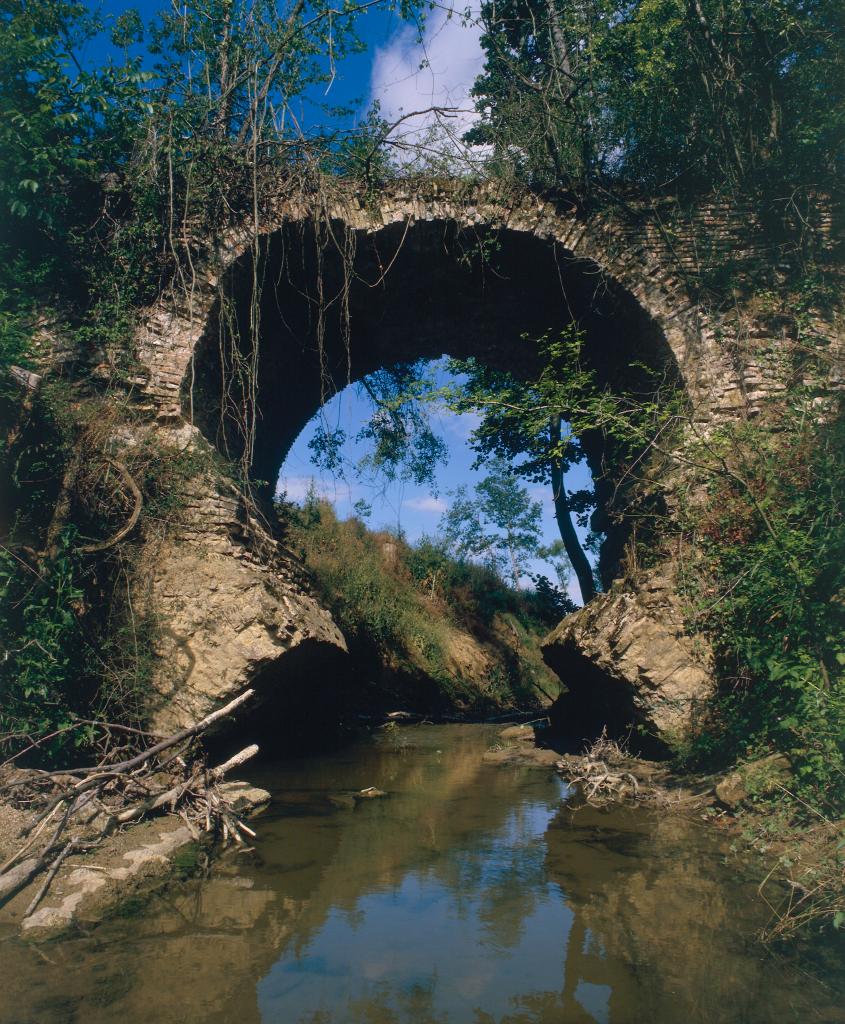 du vert