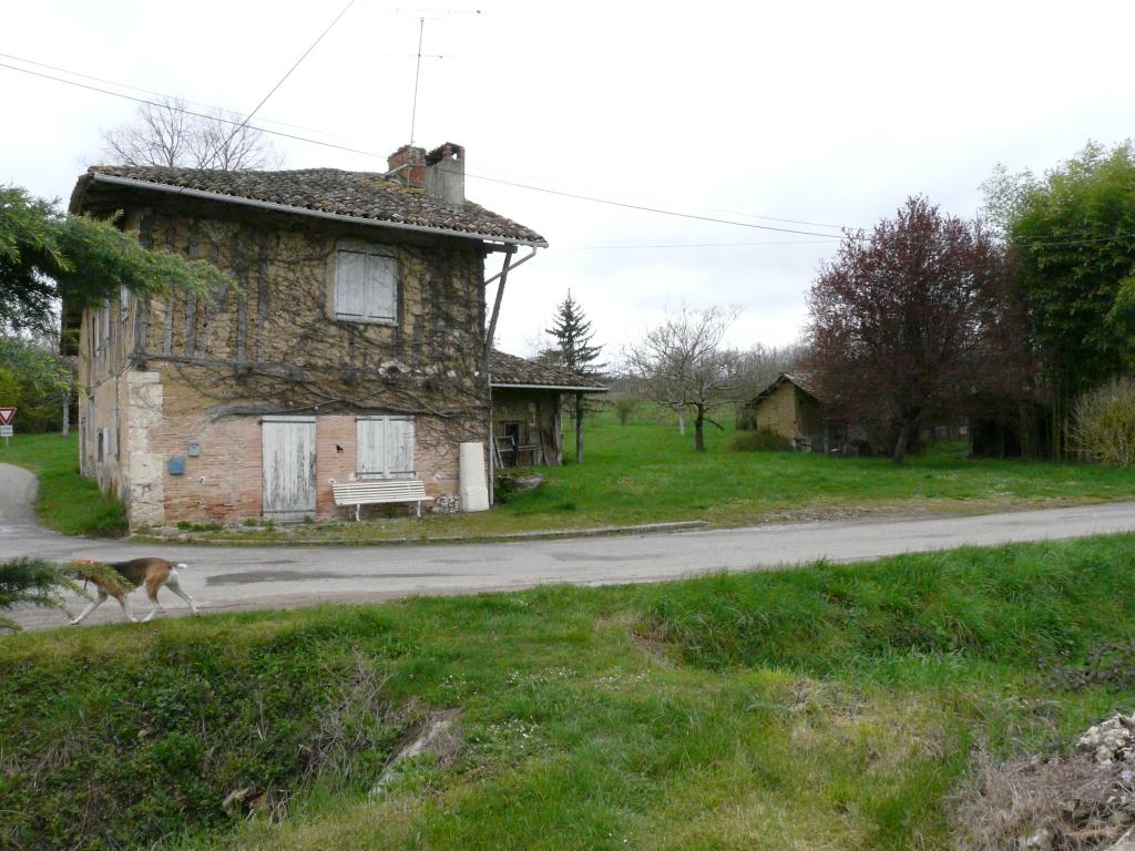 ferme