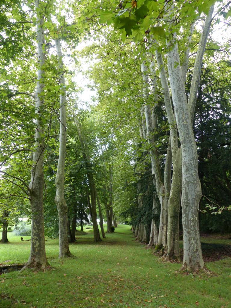 parc thermal de Couret-Ganties