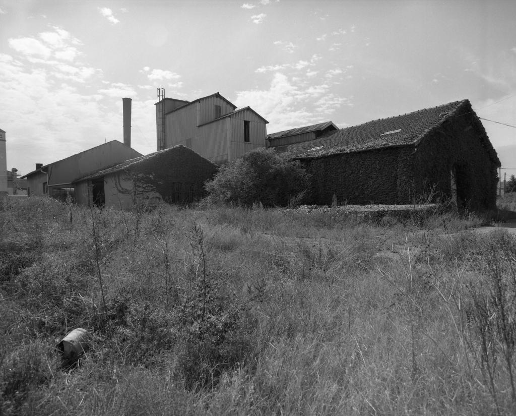 conserverie Coopérative, puis distillerie Caunes