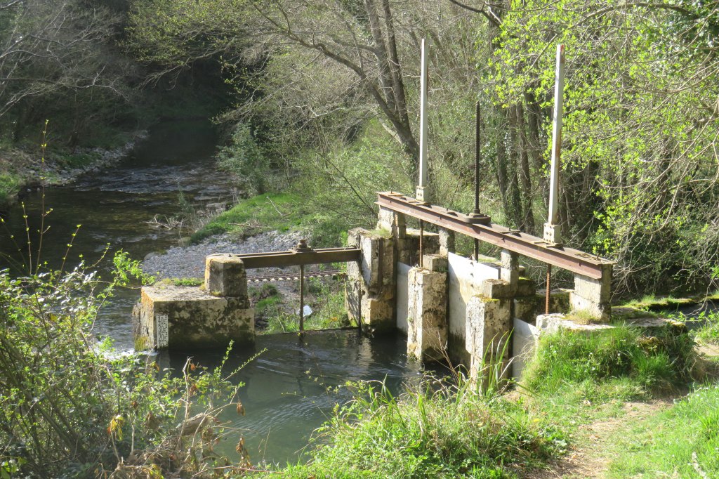 fabrique de peigne en corne Azéma-Bigou