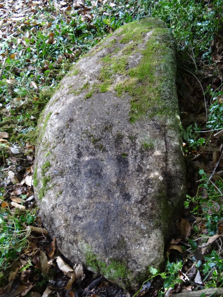 Statue-menhir de la Gruasse 1