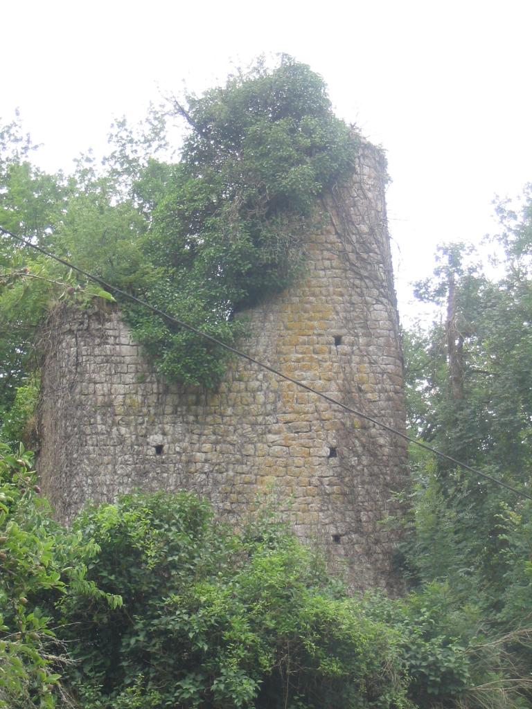 ensemble castral : castrum