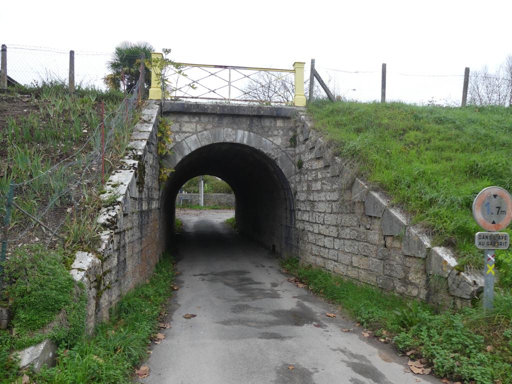 ponceau