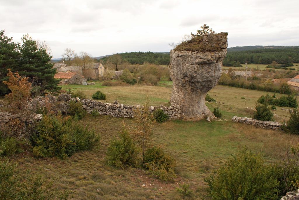 enclos