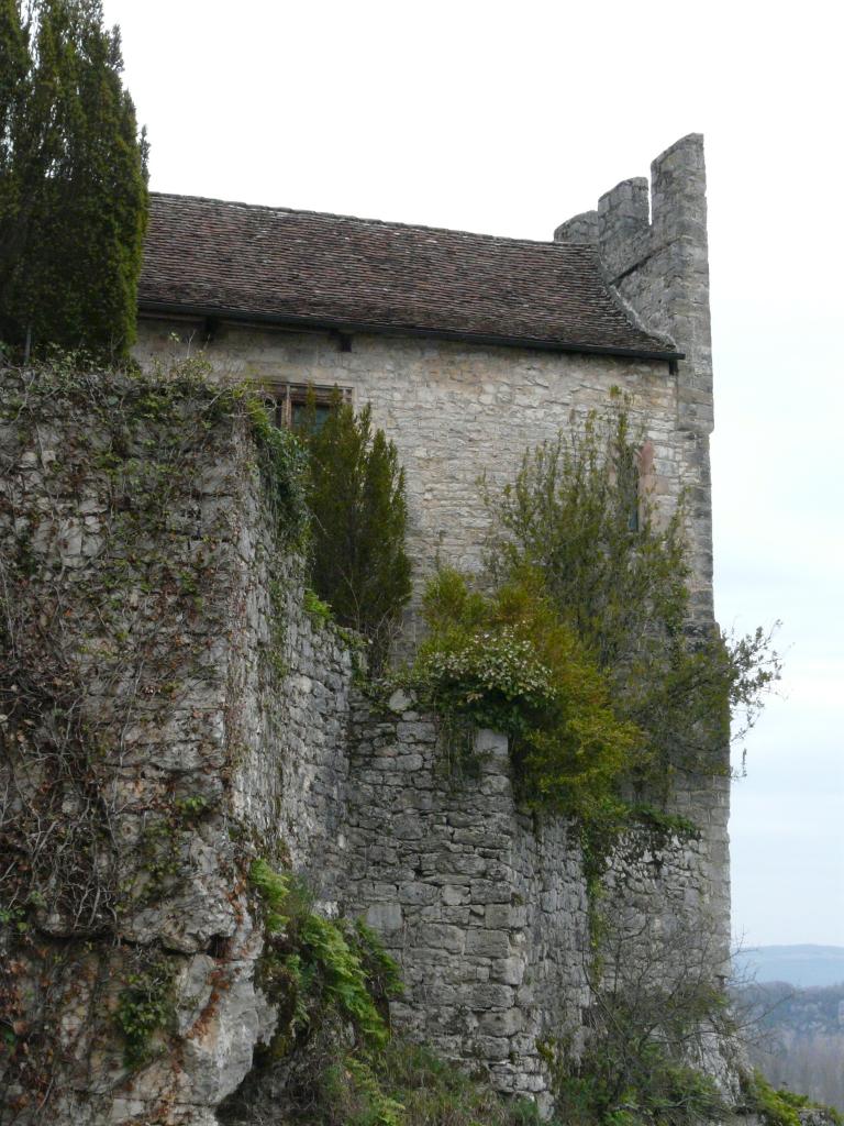 demeure, partie du Château de la Gardette, actuellement musée Rignault