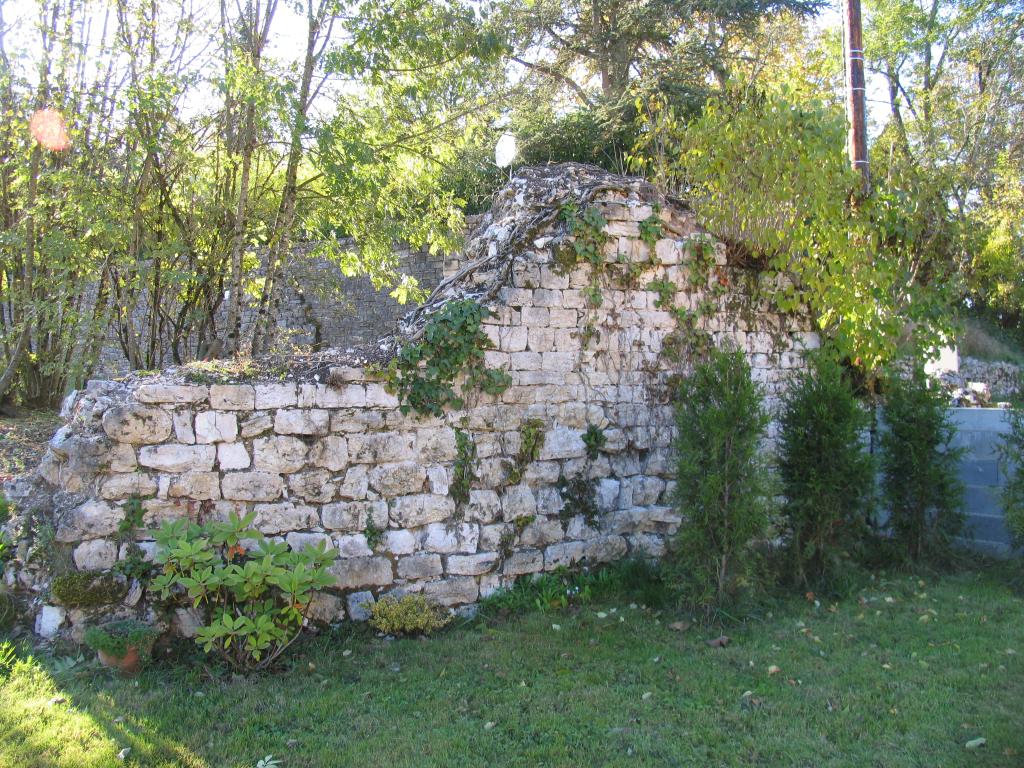 ensemble castral : castrum