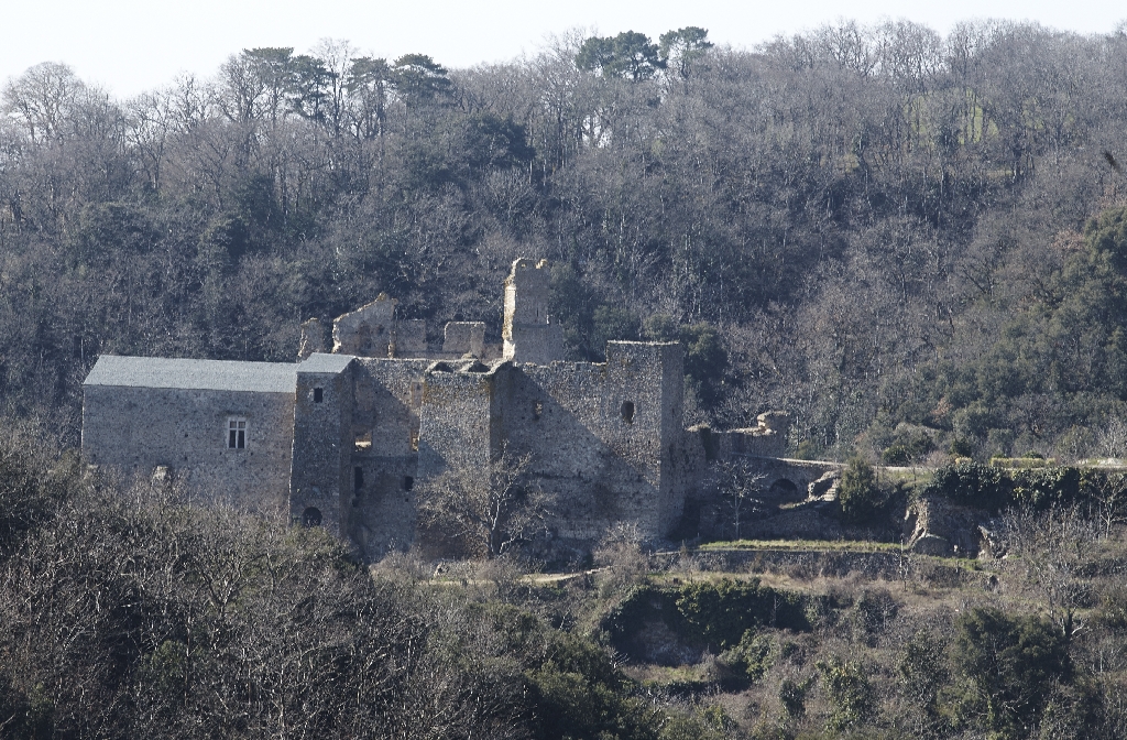 Ruines du château