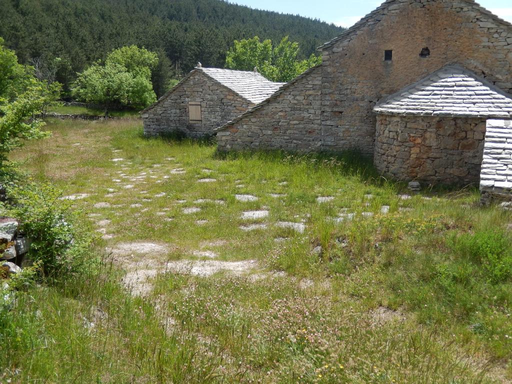 ferme