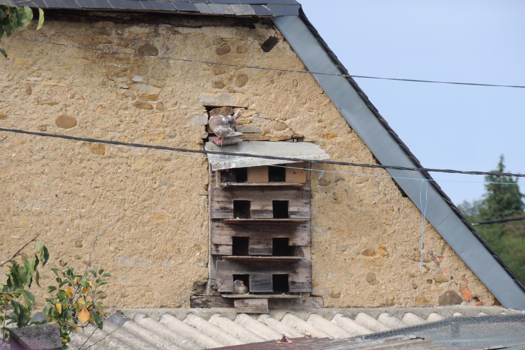 ferme