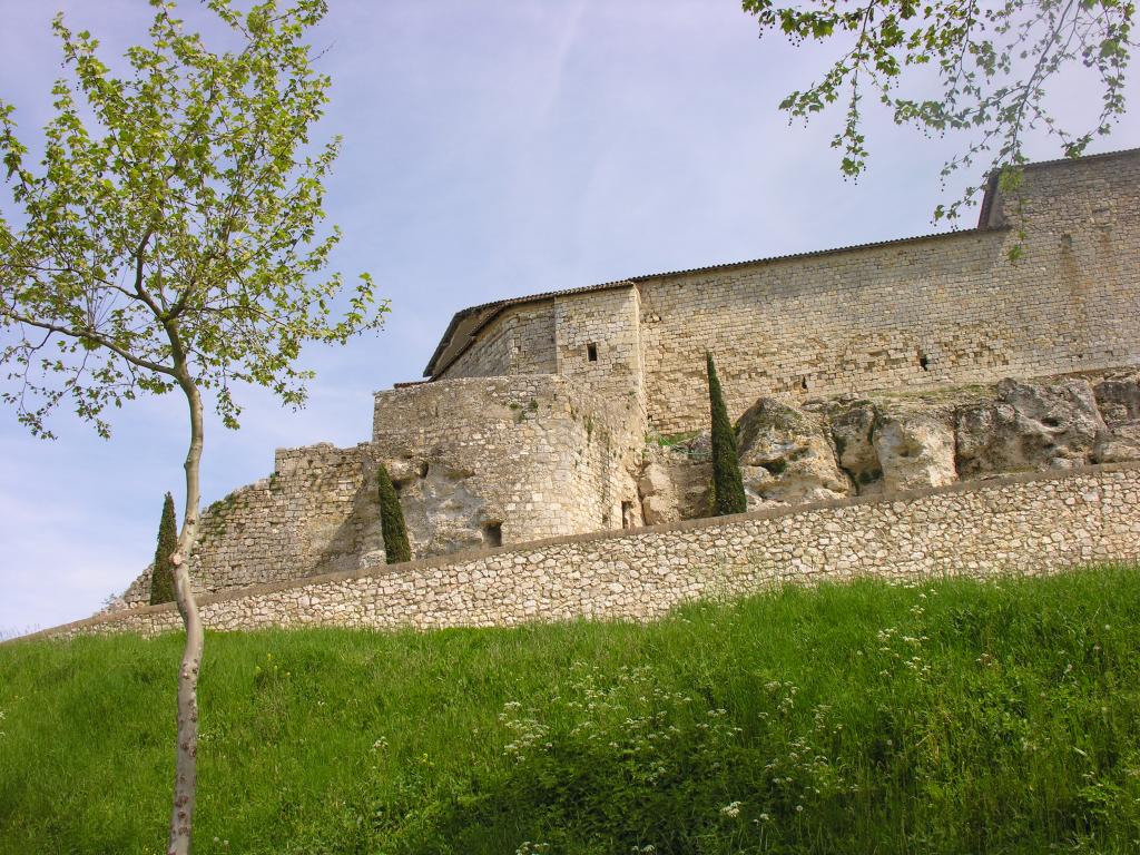château des Comtes d' Armagnac
