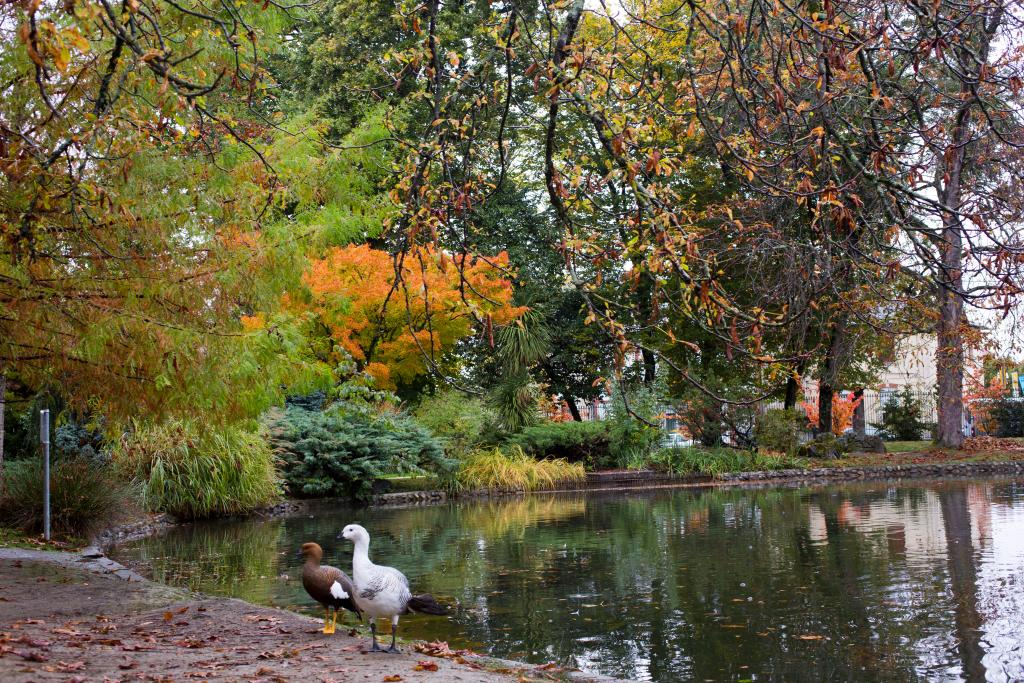 ancien jardin botanique dit Jardin Massey actuellement jardin public