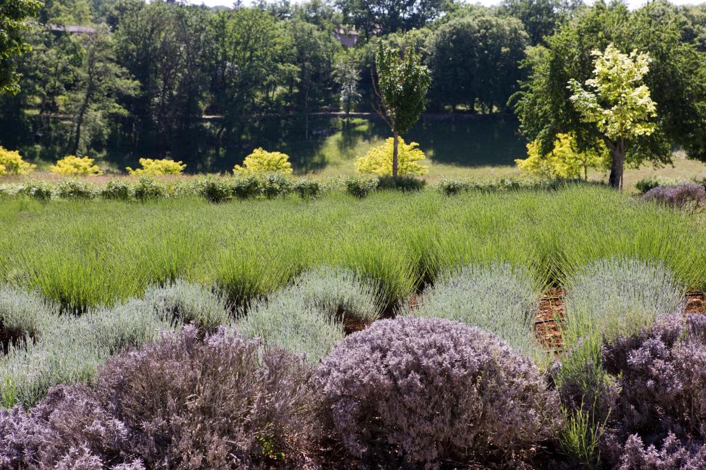 parc dit du Grand Couvent