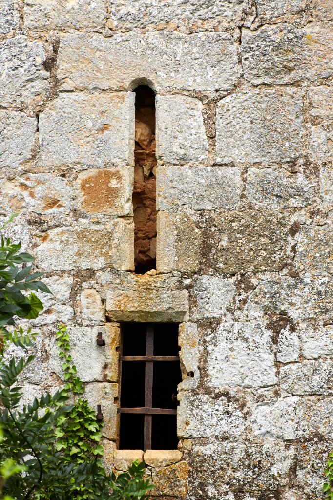 maison forte, moulin