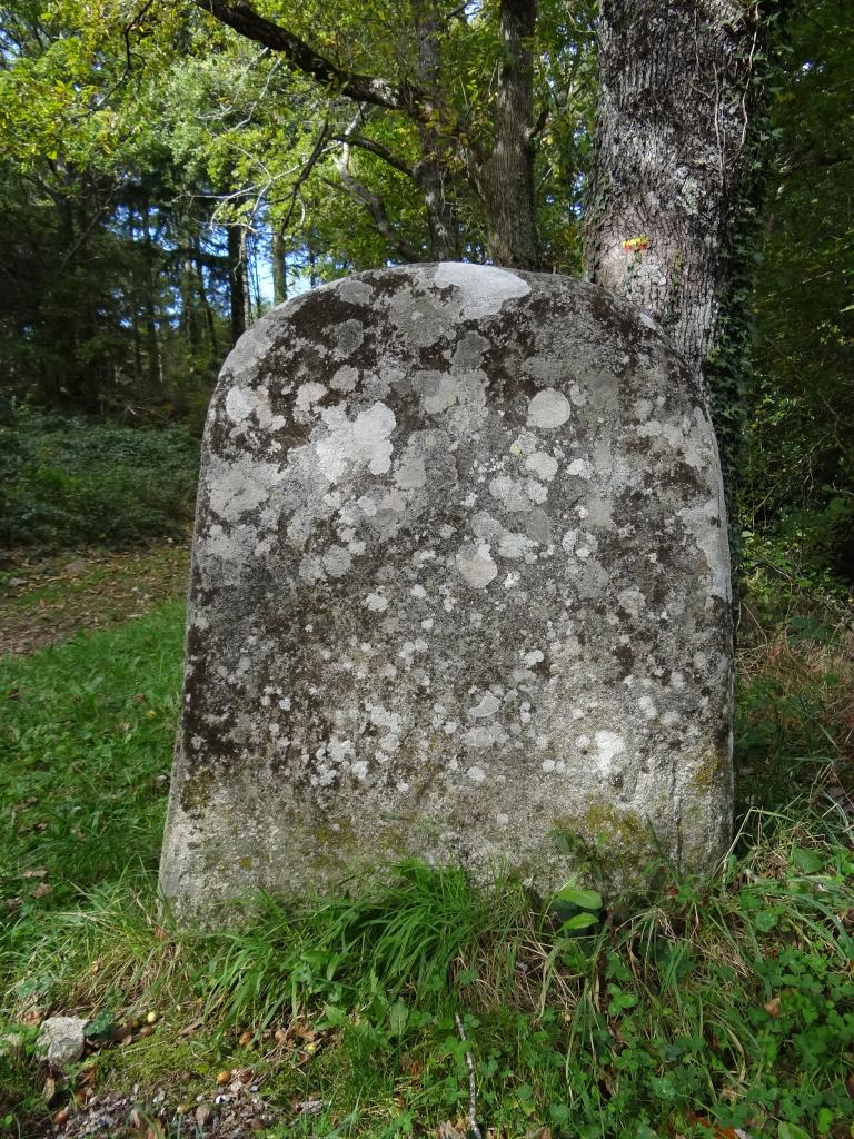 statue-menhir de Cambaïssy