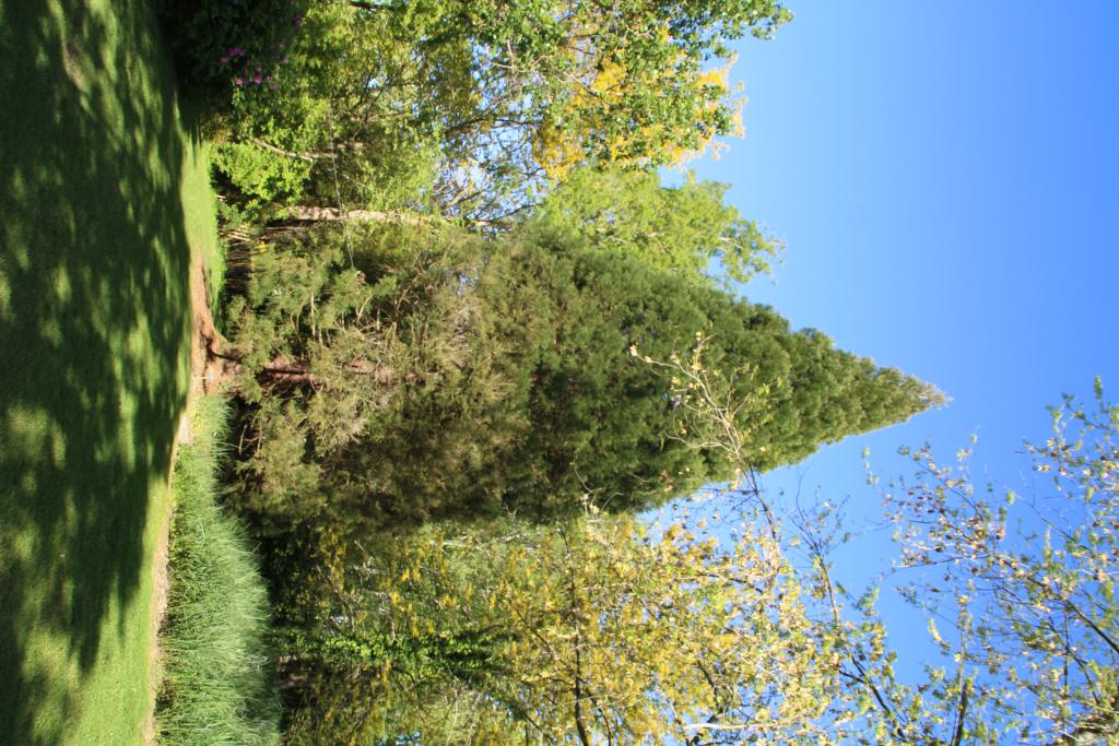 jardin botanique dit Les Martels
