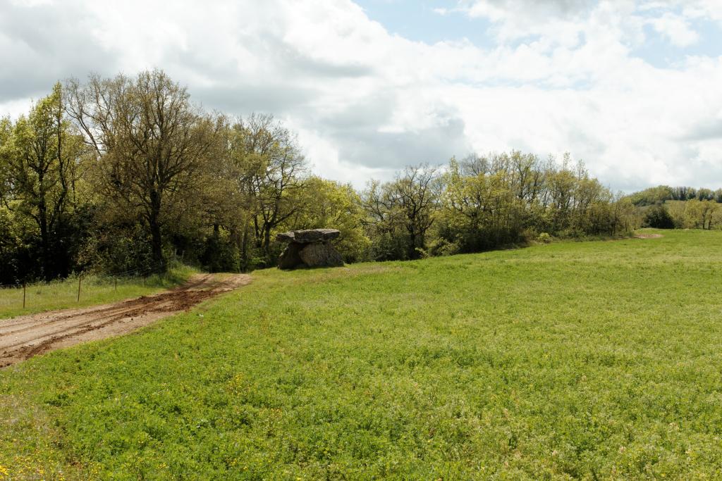dolmen de Tiergues