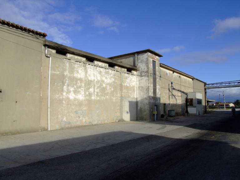 coopérative vinicole