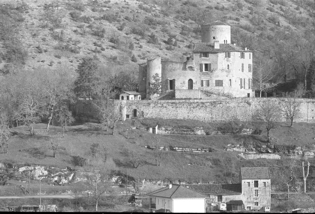 château de Laroque, dit Borie de Polminhac