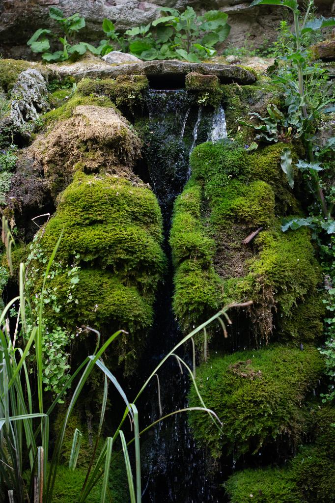 jardin d'agrément dit parc de Rochegude