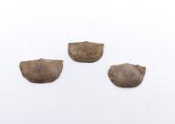 Paléontologie - Chonetes granulifer (détermination d'origine)