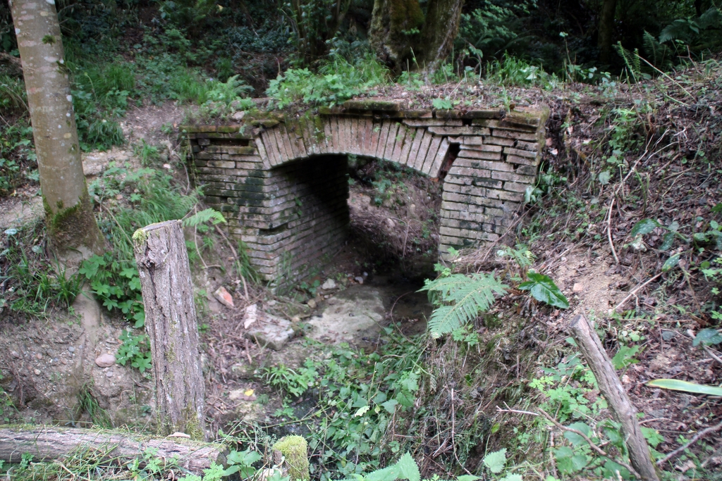 fontaine et abreuvoir dits "Font Dellbuc"