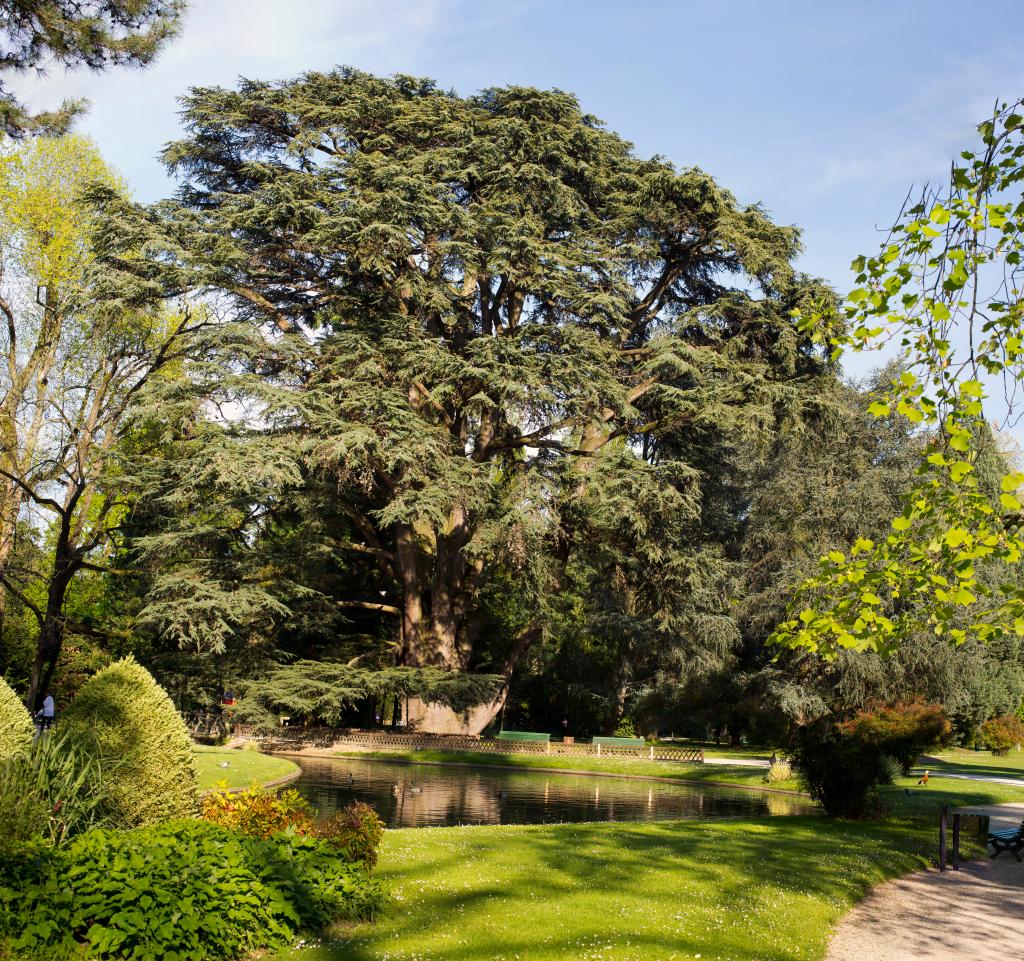 ancien jardin botanique dit Jardin Massey actuellement jardin public