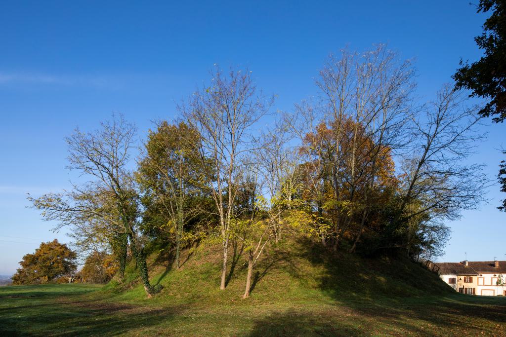 motte castrale