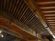 Plafond à la fougère